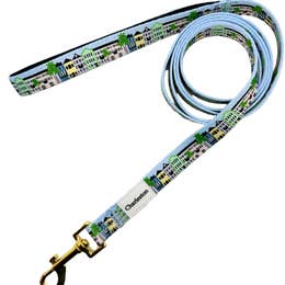 Covey Collection Leash