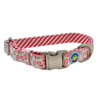 Covey Collection Collar