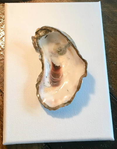 Oyster Wall Canvases 4", 6", 8 x 10"